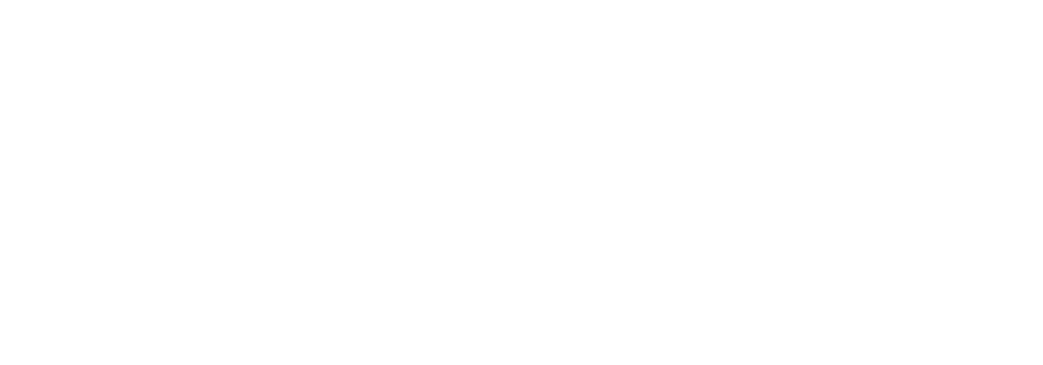 logo red.es kit digital blanco 1 e1782132201638